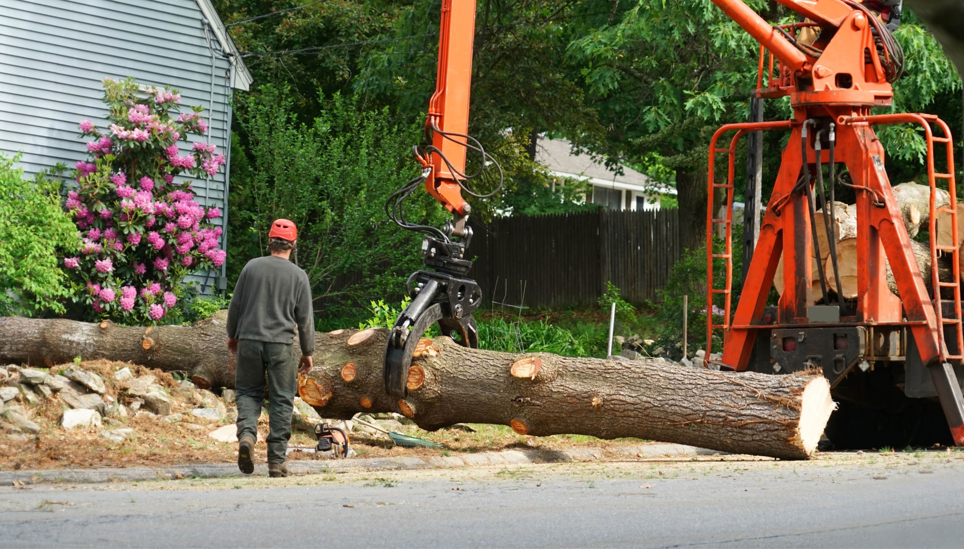 Local partner for Tree removal services in Fairfax